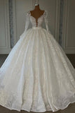 Luxury Princess A-line V-neck Lace Wedding Dresses With Long Sleeves