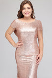 MISSHOW offers gorgeous Nude pink,Gold,Champagne,Rose Gold,Dark Navy,Black,Gray Jewel party dresses with delicately handmade Sequined in size 0-26W. Shop  prom dresses at affordable prices.