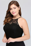 MISSHOW offers gorgeous Black Jewel party dresses with delicately handmade Lace in size 0-26W. Shop Floor-length prom dresses at affordable prices.