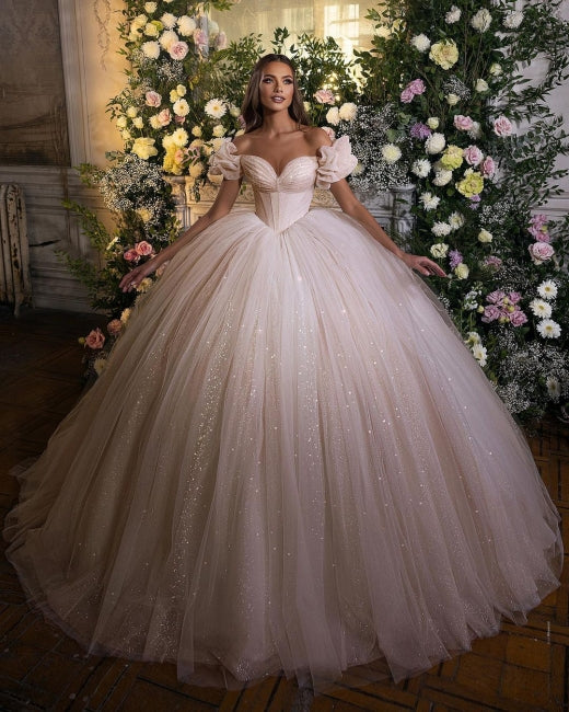 Princess Luxury Wedding Dresses Glitter with Lace-misshow.com