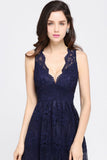 MISSHOW offers Sheath V-neck Floor-length Lace Navy Blue Prom Dress at a cheap price from Red,Burgundy,Grape,Lavender,Sky Blue,Black,Silver,Mint Green, Lace to Column Floor-length hem. Stunning yet affordable Sleeveless Prom Dresses,Bridesmaid Dresses.