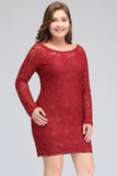 Looking for plussizedress in Lace, Column style, and Gorgeous Lace work  MISSHOW has all covered on this elegant Short Sheath  Plus size Scoop Long SleevesLace Burgundy Cocktail Dresses.