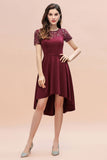 Short Sleeve Sequin Hi-Lo Cocktail Party Dress Burgundy Aline Daily Casual Dress