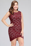 Looking for plussizedress in Lace, A-line style, and Gorgeous Lace work  MISSHOW has all covered on this elegant Short Sleeveless Mermaid Scoop Plus size Lace Cocktail Dresses.