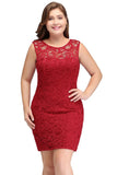 Looking for plussizedress in Lace, A-line style, and Gorgeous Lace work  MISSHOW has all covered on this elegant Short Sleeveless Mermaid Scoop Plus size Lace Cocktail Dresses.