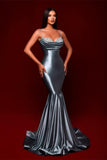 Simple Long Glitter Mermaid Spaghetti Straps Evening dresses