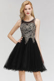 MISSHOW offers Sleeveless Aline Cocktail Party Dress Sparkly Beads Homecoming Dress at a good price from Burgundy,Dark Navy,Black,Tulle to A-line Mini,Knee-length them. Stunning yet affordable Sleeveless Prom Dresses,Evening Dresses,Homecoming Dresses,Bridesmaid Dresses,Quinceanera dresses.