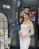 Trendy Floor Length Long Sleeves Mermaid Lace Wedding Dress-misshow.com